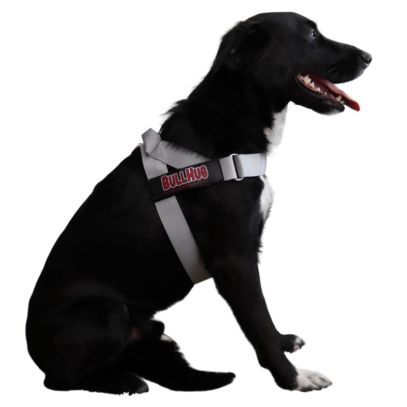 BULLHUG Adjustable Dog Harness– No Pull, No Choke – for English Bulldogs, French Bulldogs, Pugs & Broad-Chested Breeds – Easy, Safe Walks (Silver, Medium) SILVER Medium - (Neck: 17" - 20" Chest: 25" - 30") - PawsPlanet Australia
