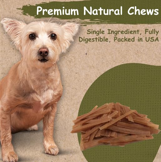 Top Dog Chews - Flat Turkey Tendons for Dogs, 1LB / 16 OZ, Made in The USA, 100% Natural Chew Treats for Dental Care and Stress Relief, Puppy Training Treats for All Breeds (16oz, Roasted)