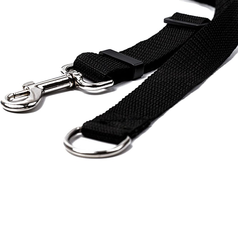 Drema Black Durable Nylon Dog Training Leash,Dog/Puppy Obedience Recall Training Agility Lead-10 ft 20 ft, Training Leash, Play, Safety, Camping,or Backyard (10ft) 10ft - PawsPlanet Australia