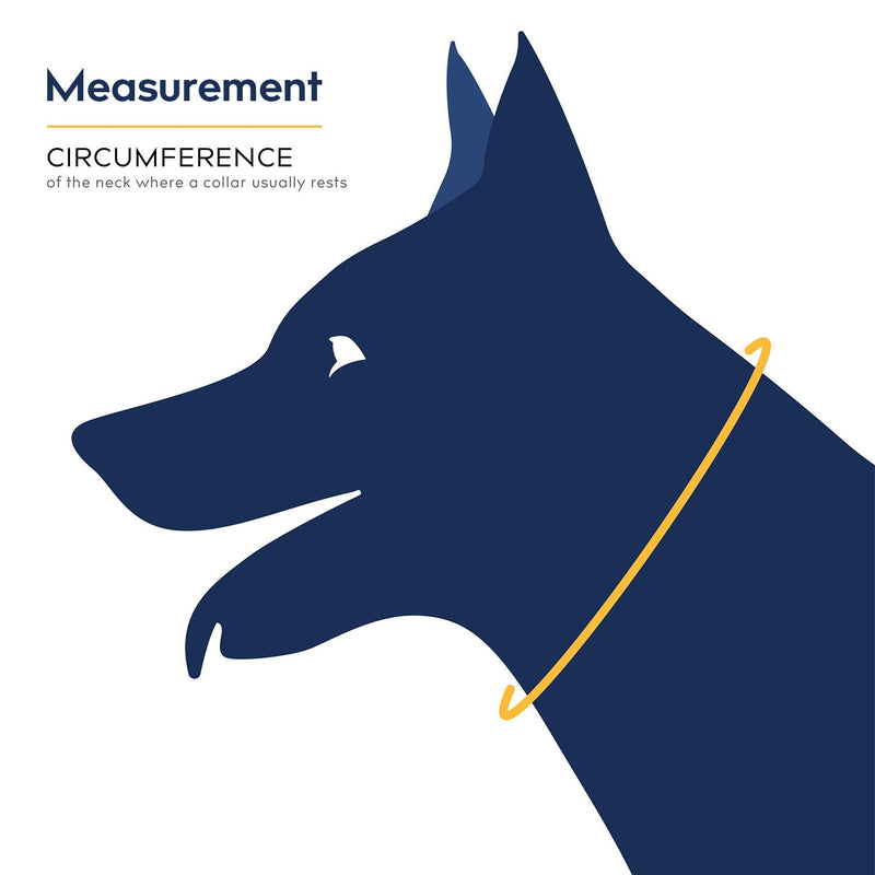 Balto Neck Eco E-Collar Alternative – Dog Recovery Collar – Padded Dog Cone - Pre/Post Surgery Helps Protect Wounds and Rashes- Body Only Protection (Small) Small - PawsPlanet Australia