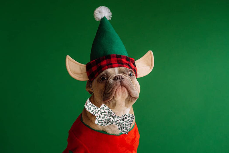 Elegant little tail Dog Collar with Bow, Soft&Comfy Bowtie Dog Collar, Adjustable Pet Gift Collars for Small Medium Large Dogs Medium (Pack of 1) Christmas Green - PawsPlanet Australia