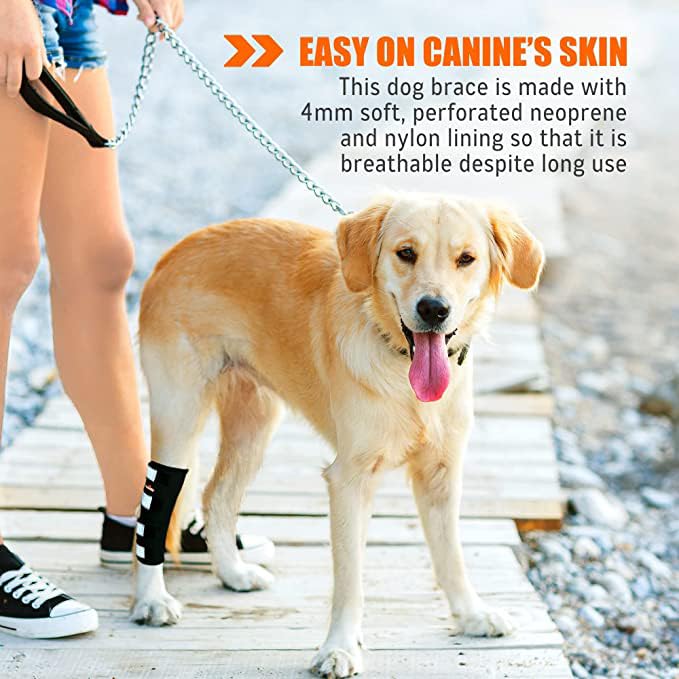 NeoAlly Dog Rear Leg (One Leg) Hock Brace, Canine Leg Wrap for Hind Leg, Ideal Hock & Ankle Support and Protection for Sprain Recovery, Achilles Tendon Injury (Extra Large (Left Leg)) Right Leg Small