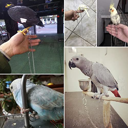 TOPINCN Bird Foot Chain Flying Stainless Steel Training Rope Outdoor Parrot Ankle Foot Ring Accessories Bird Harness Leash Prevent Escaping - PawsPlanet Australia