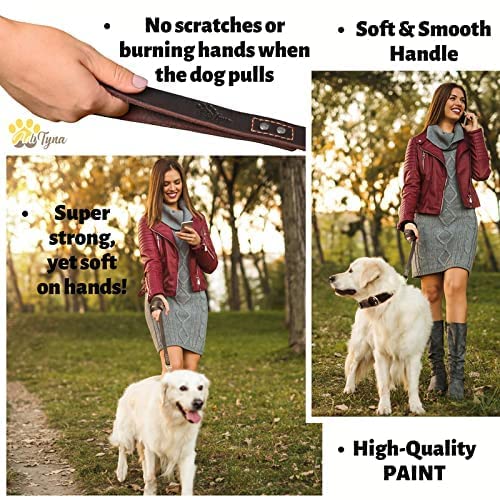 ADITYNA Leather Dog Leash 6 ft x 3/4 inch - Soft, Strong, Heavy Duty for Large & Medium Breeds - Dog Lead for Walking, Training, Hiking and Running (Brown) L - 6 ft x 3/4 inch Brown - PawsPlanet Australia