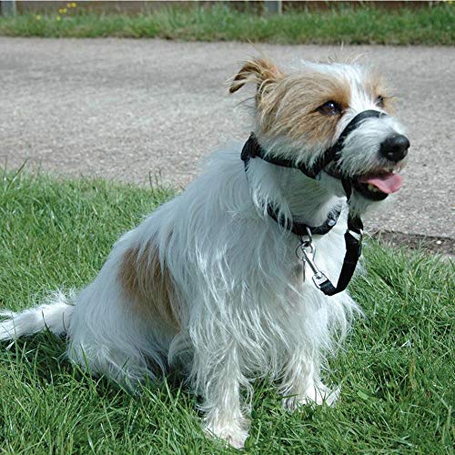 Link One Size Fits All, Suitable to use on Headcollar and Optifit Headcollar, Dog Harness to Collar Safety Link Strap, Easy to Use, Professional Training Aid for Dogs Black - PawsPlanet Australia