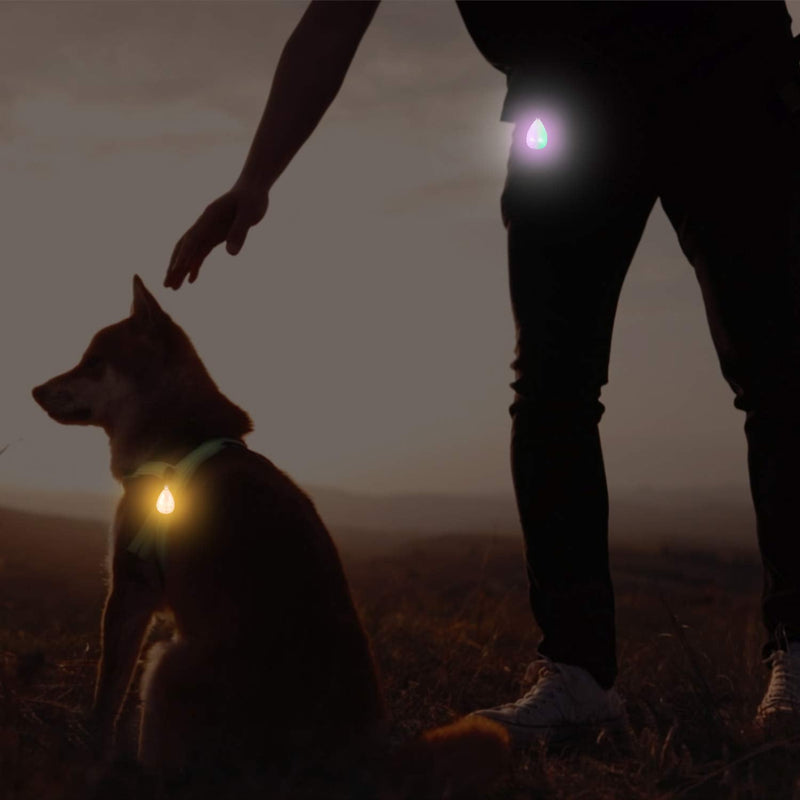 6-Pack Rechargeable Dog Light, Dog Collar Light,Waterproof,3 Modes LED Dog Safety Lights,Multiple Color Options,Clip On Collar, Leash,Harness，Night Light for Running,Climbing,Camping - PawsPlanet Australia