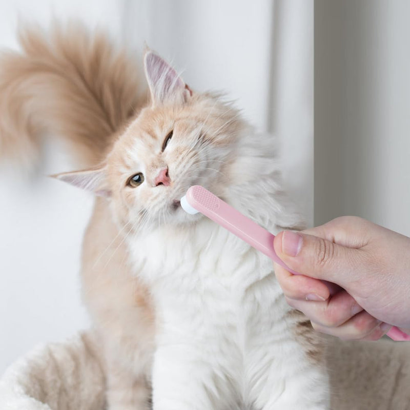 2 x Dog Toothbrushes, Toothbrush for Pets, Cat Toothbrushes with 10,000 Ultra Soft Pet Bristles and Tail Hole for Cats, Puppies, Small Dogs, Sensitive Teeth and Gums