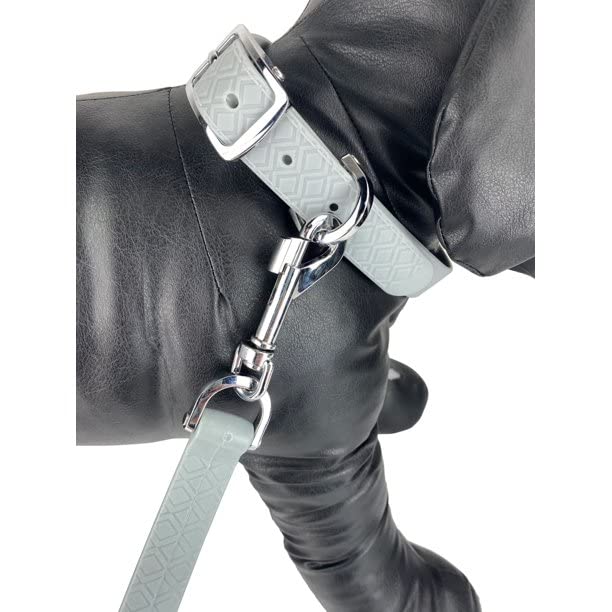 Vibrant Life 4-Foot Dog Leash, Teal and Gray - PawsPlanet Australia