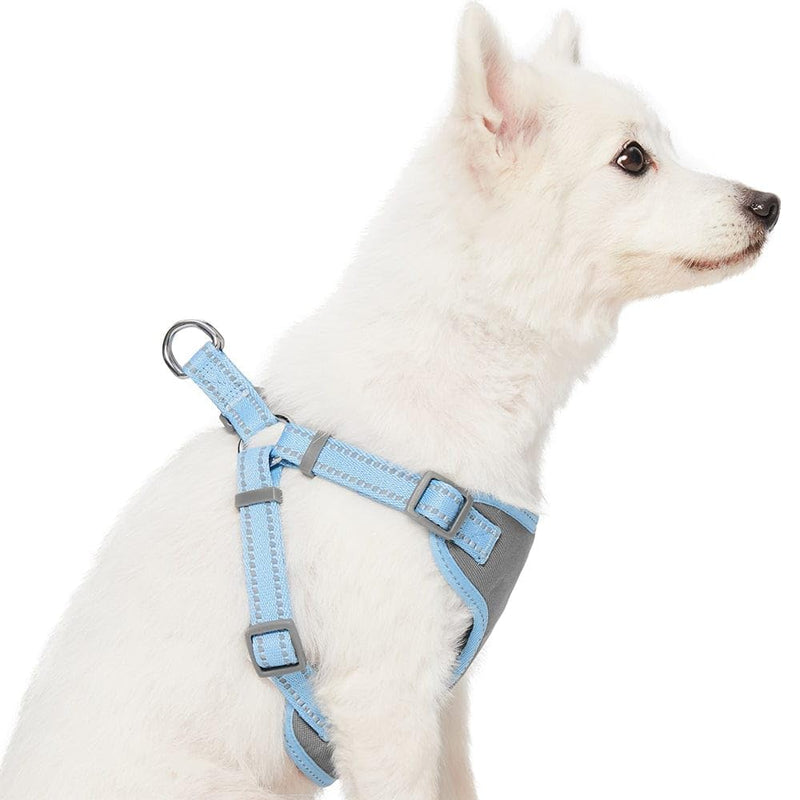 Blueberry Pet Matching Reflective Harness and Leash Set | Adjustable Pastel Vest with Lead for Dogs – Great Value Gift Set | Adjustable Baby Blue Vest for Medium Breeds - PawsPlanet Australia