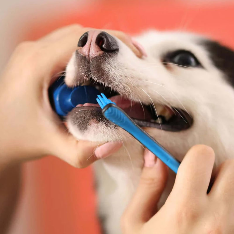 Paw Ready Pet Toothbrushing Assistant for Puppies' Dogs and Cats Allows You to Brush Your pet’s Teeth Without Constantly Worrying About Getting Bitten. (Blue, Small) Small (Pack of 1) Blue
