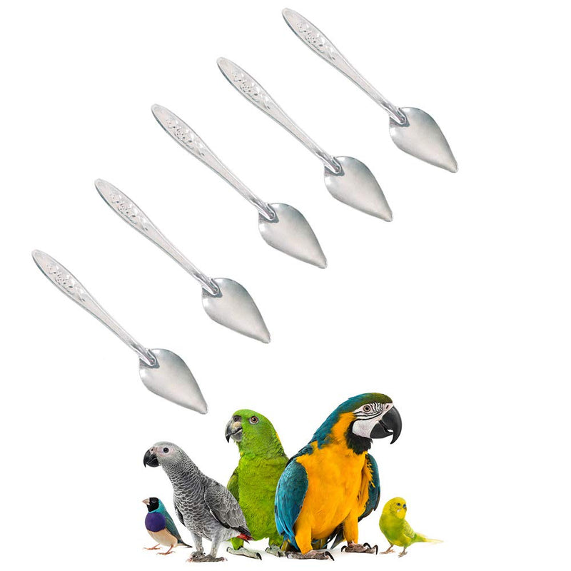 5 Pcs Bird Parrot Feeder Spoon Stainless Steel Milk Medicine Parrot Feeding Spoon for All Baby Bird Peony Cockatiel 4.7" - PawsPlanet Australia