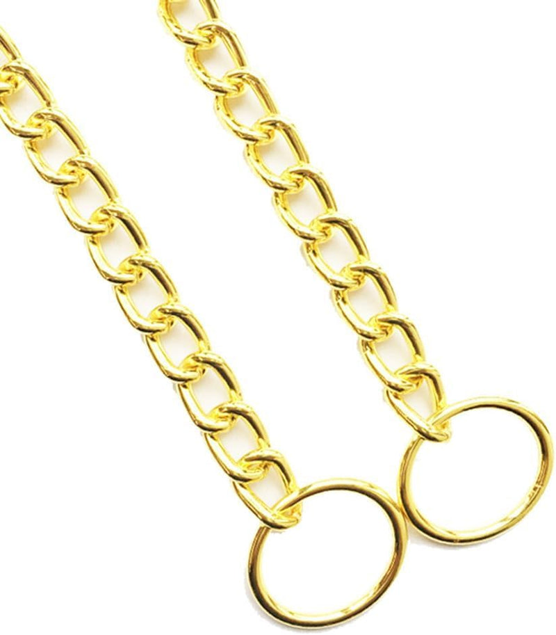 Chain Choke Collar for Dogs, Metal Slip Link Training Heavy Duty Dog Collar Martingale Puppy Collars for XXS XS Small Medium Large Big XL Breed Dogs (Gold, XL) Gold - PawsPlanet Australia