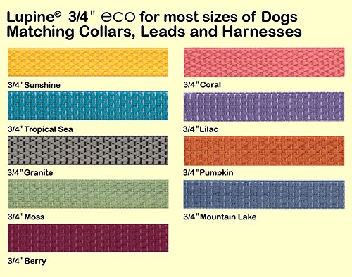 LupinePet Eco 3/4" Mountain Lake 13-22" Adjustable Collar for Medium and Larger Dogs - PawsPlanet Australia