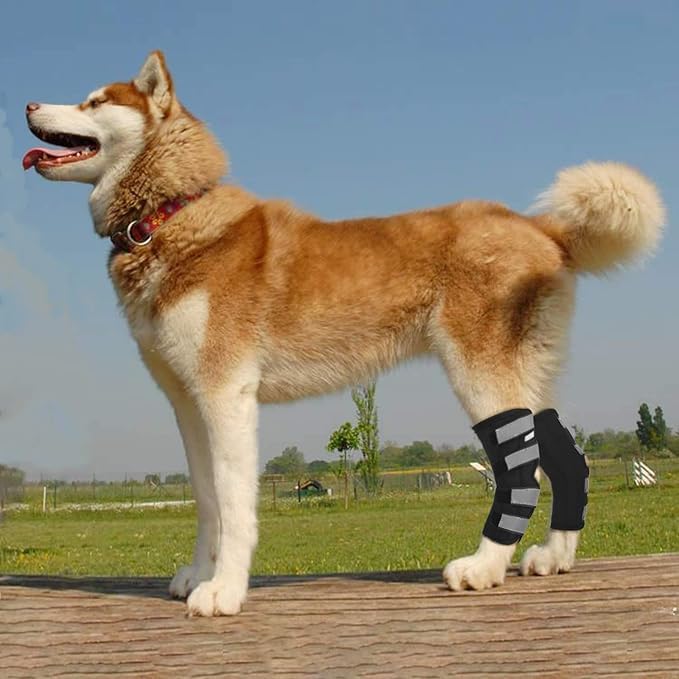 Dog Leg Braces for Rear Legs, Hock Brace for Back Legs with Metal Strips and Safety Reflective Straps for Short Legs, Joint Warps Support for Hind Legs Injuries Sprains Arthritis (Small(1Pair)) Small(1Pair) - PawsPlanet Australia