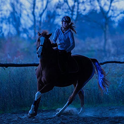 CZP New 100CM Horse Tail USB Lights Chargeable LED Crupper Horse Harness Equestrian Outdoor Sport Horse Riding Tail Lights Equipment 100cm RED - PawsPlanet Australia