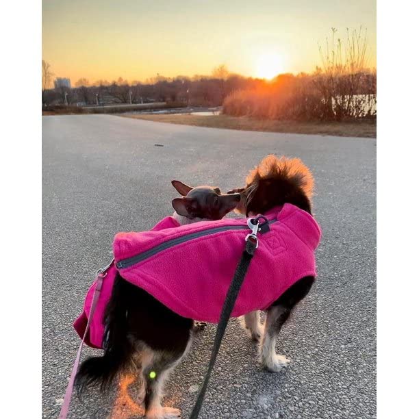 Gooby Zip Up Fleece Dog Sweater - Pink, Medium - Warm Pullover Fleece Step-in Dog Jacket with Dual D Ring Leash - Winter Small Dog Sweater - Dog Clothes for Small Dogs Boy and Medium Dogs Medium chest (~17.5")