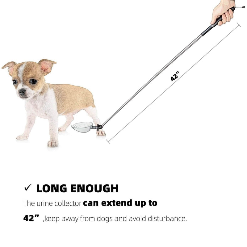 Dog Cat Urine Sample Collector- Telescopic Long Handled Dog Urine Dog Pee Sample Catcher Urine Stick for Small Large Female Dogs Extends to 42" (Gray_42) Gray_42 - PawsPlanet Australia