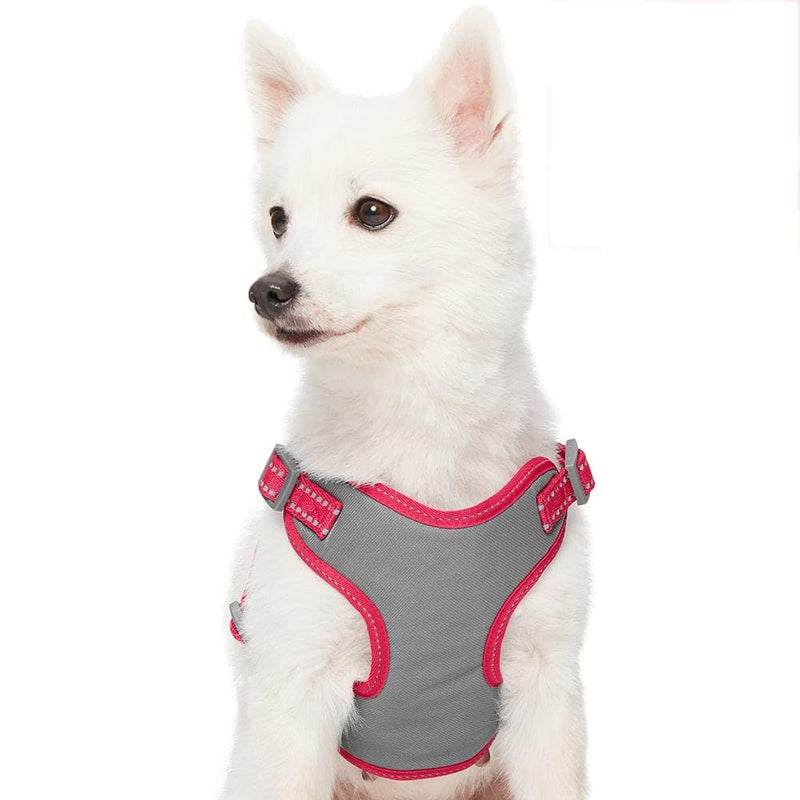 Blueberry Pet Matching Reflective Harness and Leash Set | Adjustable Pastel Vest with Lead for Dogs – Great Value Gift Set | Adjustable Very Berry Vest for Small Breeds - PawsPlanet Australia