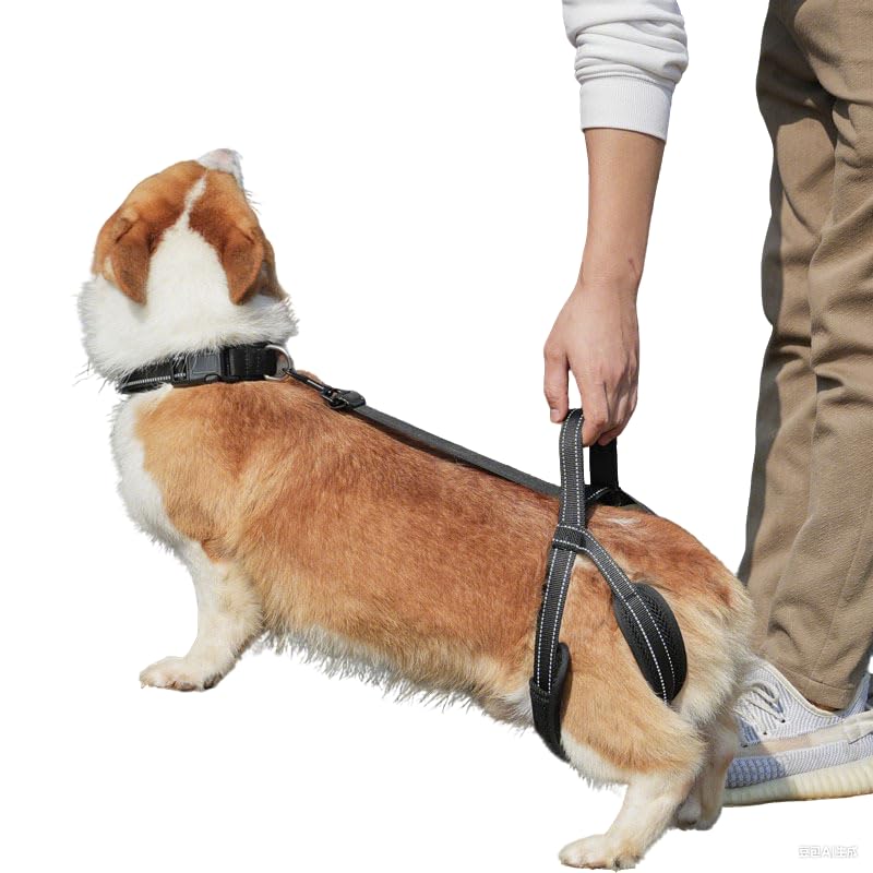New Upgraded Dog Hind Leg Support Harness, Rear Leg Support Harness - Mobility Aid for Disabled & Paralyzed Pets, Rehabilitation Sling for Hind Leg Assistance (S-Thigh（Small)