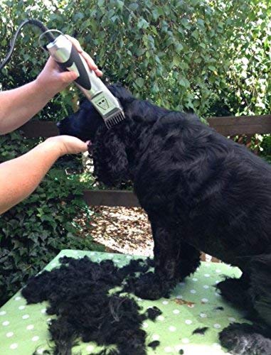 Masterclip Metal Comb Guides for Dog Clipper Clippers - choose your size 16mm, 19mm, 22mm, 25mm, 32mm or a Multi pack of 4 sizes (4 Pack - 3mm, 6mm, 10mm, 13mm) 4 Pack - 3mm, 6mm, 10mm, 13mm