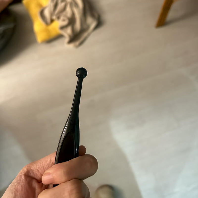Pet Eye Cleaner Soft Brush Rounded Tip Gentle Design for Cat and Dog Tear Stain Cleaning, Daily Grooming Home Travel, Black