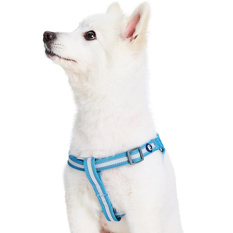 Blueberry Pet Essentials Step-in Reflective Back to Basics Dog Harness, Sky Blue, Chest Girth 26" - 39", Large, Adjustable Harnesses for Dogs - PawsPlanet Australia