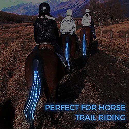 CZP New 100CM Horse Tail USB Lights Chargeable LED Crupper Horse Harness Equestrian Outdoor Sport Horse Riding Tail Lights Equipment 100cm RED - PawsPlanet Australia