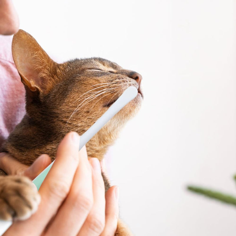 2 x Dog Toothbrush, Cat Toothbrush, Teeth Cleaning Brushes for Pets with 10,000 Ultra Soft Pet Bristles for Cats, Puppies, Small Dog Breeds, Sensitive Gums Blue + Purple