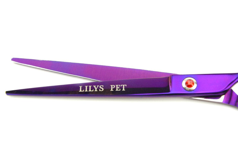 LILYS PET Professional PET Grooming Scissors Kit,Coated Titanium,Sharp and Strong Stainless Steel Blade for Dogs Cats Hair Cutting,3 Pieces of Scissors with a Comb and a Case (8.0 inches, Purple) 8.0 inches - PawsPlanet Australia