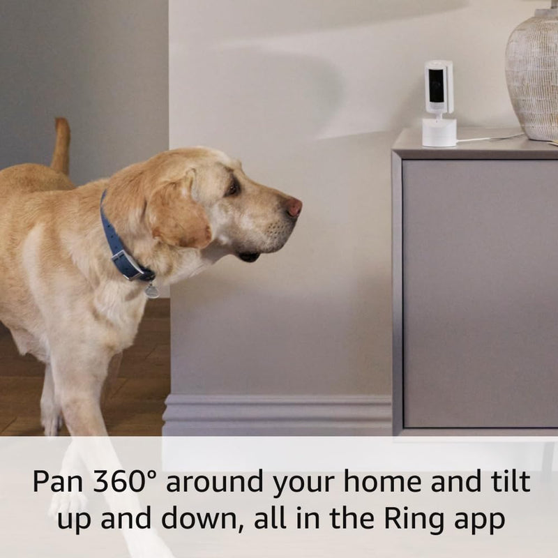 Ring Pan-Tilt Indoor Cam, White with Ring Pet Tag - PawsPlanet Australia