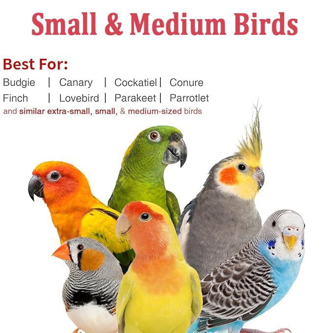 Small Bird Travel Carrier, Portable Bird Travel Outside Cage for Parakeet, Parrot, Budgie, Guinea Pig, Bearded Dragon Reptile Carrier for Hiking Vet Visit Bicycle Ride (Orange) Orange Clear Window - PawsPlanet Australia