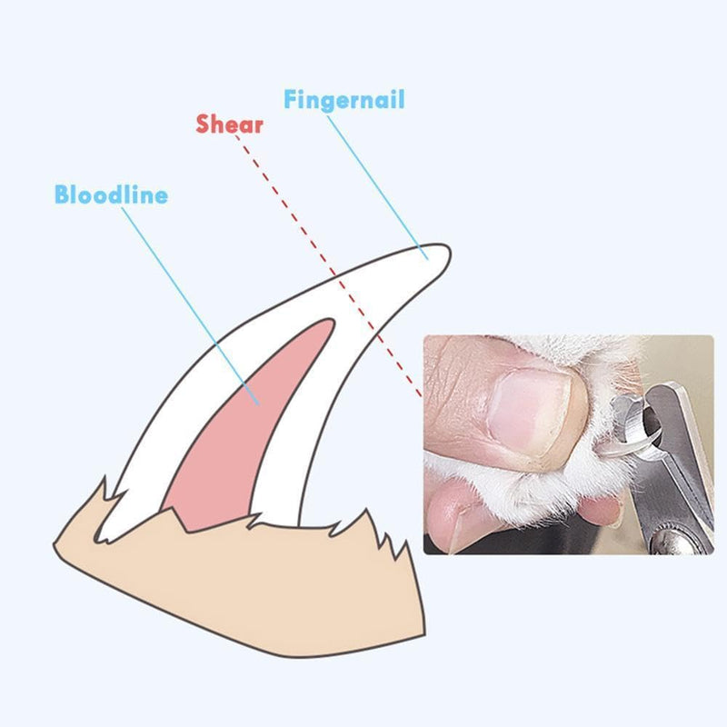 Cat Nail Clipper&Dog Nail Clipper, Sharp Blade, with Safety Guard- Avoid Over Cutting Pet Nail Clippers, Professional Pet Nail Trimmers(Blue) Blue - PawsPlanet Australia