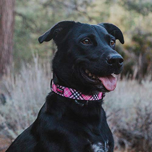 Max and Neo Plaid Pattern NEO Dog Collar - We Donate a Collar to a Dog Rescue for Every Collar Sold (Pink, Small) PINK PLAID - PawsPlanet Australia