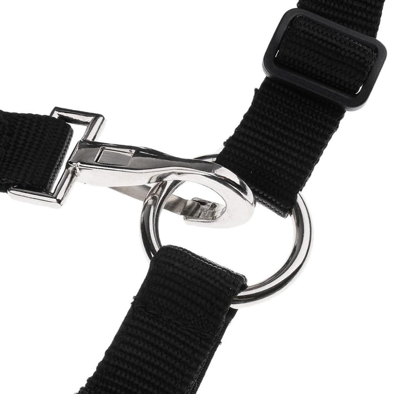 Grazing Muzzle, Horse Grazing Muzzle with Halter, Easy Breathe Comfort Lined Grazing Muzzle, Full Adjustable Horse Grazing Muzzle with Chin Neck Pads for Comfort Black Medium Size One Size - PawsPlanet Australia