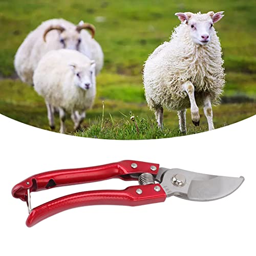 Goat Hoof Trimmers, Professional Animal Toe Scissors, Lightweight Ergonomic Design, Stainless Steel, Sheep Hoof Trimmers (Red) Red - PawsPlanet Australia