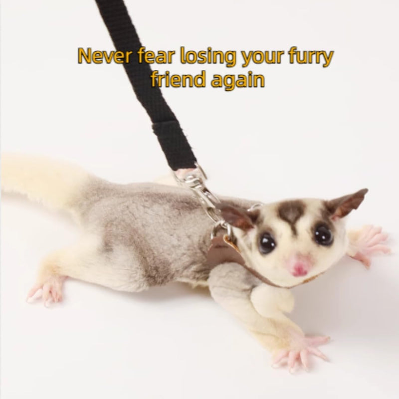 MANON ROSA Sugar Gliders Harness Leash Set - 3 Pcs Training Walking Gear Small Animal Adjustable Traction Ropes Vest for Squirrels Hamsters Rats Gerbils Reptiles Bearded Dragon Lizards Black 01 Black - PawsPlanet Australia
