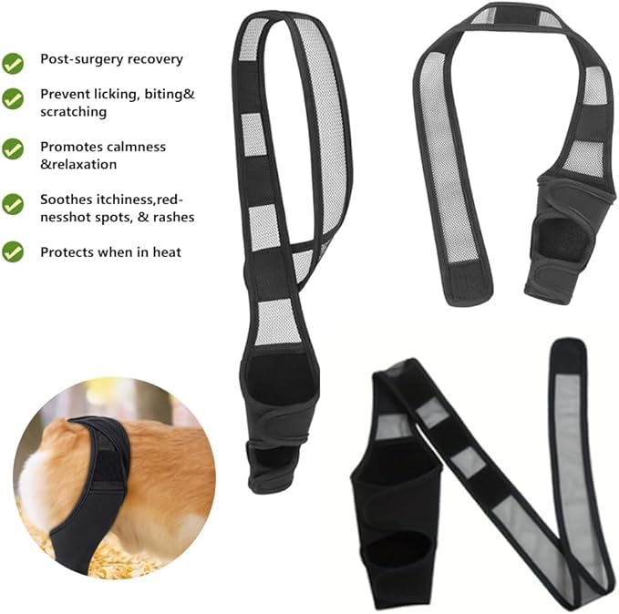 Compressive Back Paw Support Dog Support Joints Hip Protective Band Pets Muscle Stabilizer (S) S
