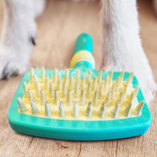 Jelly Pet Deshedding Dog Bath Brush Scrubber, Bath Brush for Dogs, Pet Shower Brush, Bath Supplies, Curry Brush for Dogs, Dog Bath Brush for Short Haired Dogs, Dog Wash Brush, Dog Grooming Brush - PawsPlanet Australia