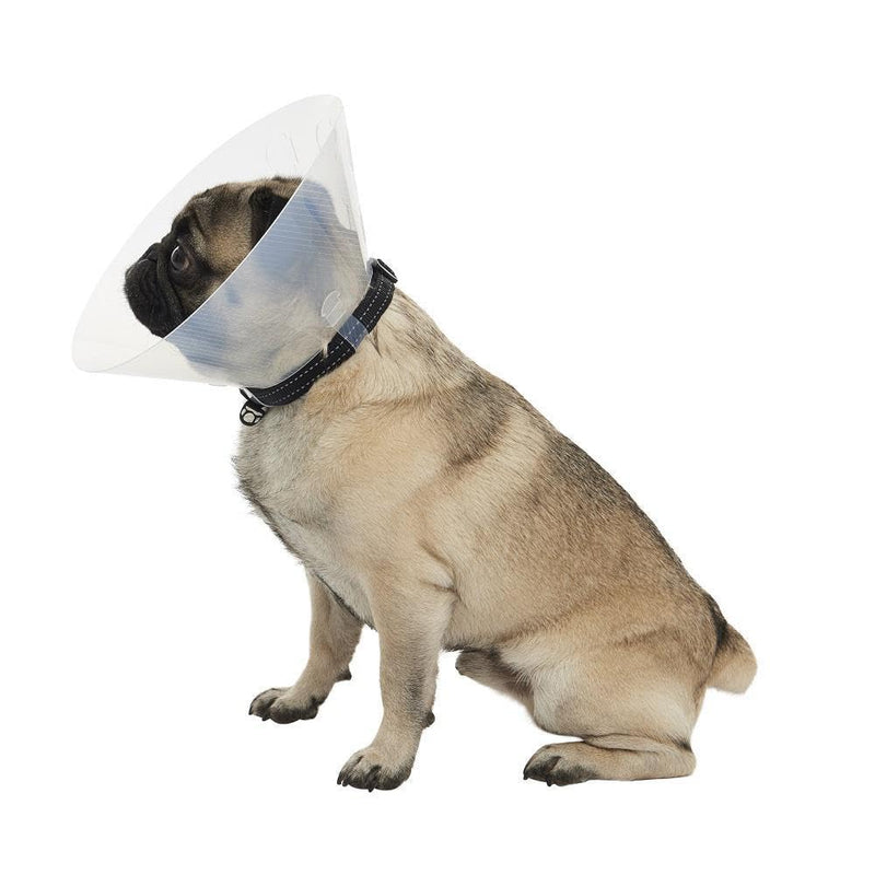 Buster Short Snout Collar - S