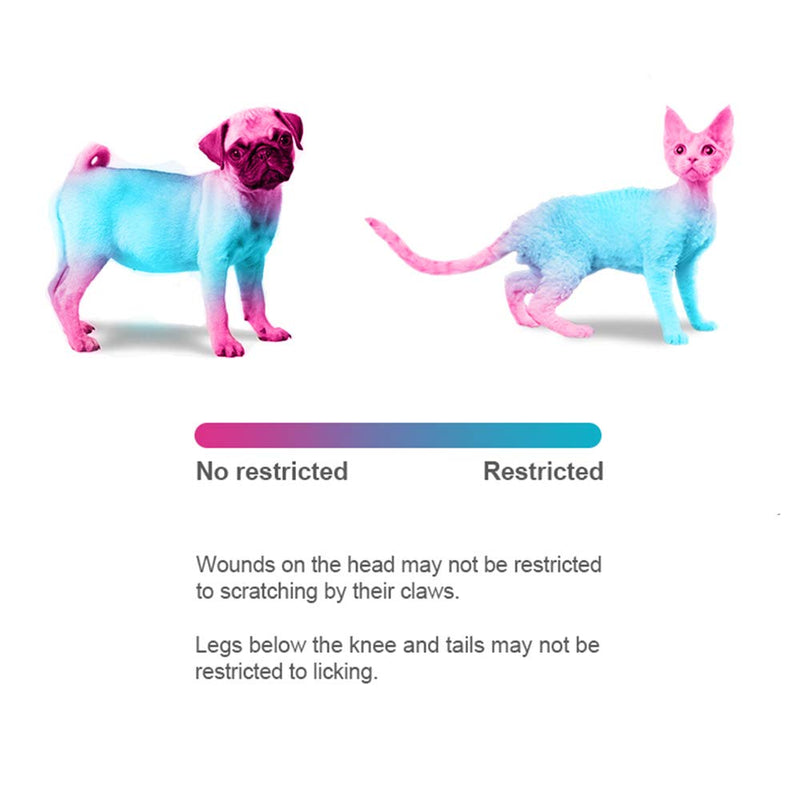 Pet Adjustable Recovery Collar - Recovery Protective Pet Cone Wound Healing Protective Soft Edge for Pets/Kitten/Cats/Small Dogs L - PawsPlanet Australia