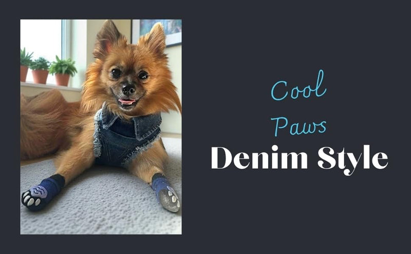 Dog Harness for Small Dogs, Cat Harness, Handmade Adjustable Vest, Denim Dog Collar, No Pull Harness, Cotton Adjustable Vest, Small Dog Collar, Denim Dog Vest (S) S - PawsPlanet Australia