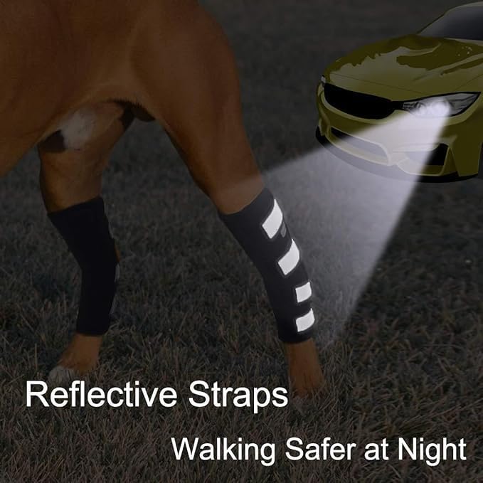Dog Leg Braces for Rear Legs, Hock Brace for Back Legs with Metal Strips and Safety Reflective Straps for Short Legs, Joint Warps Support for Hind Legs Injuries Sprains Arthritis (Small(1Pair)) Small(1Pair) - PawsPlanet Australia