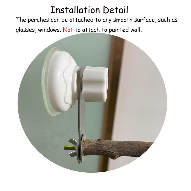 6 Pack Suction Cup Accessory Sets for Brid Perches Brid Stand Sticks Stand Toy Wood Platform for Parrot Parakeet Cockatiel Budgie Suction Cup for Window Bath Shower Car Travel Wall Outdoor Indoor 6 pack - PawsPlanet Australia