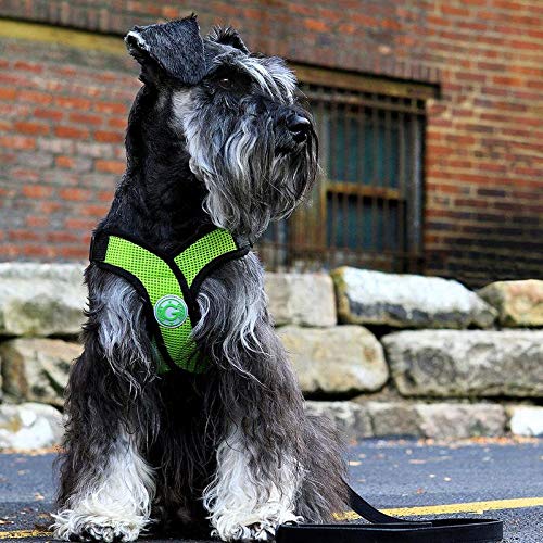 Gooby Comfort X Step in Harness - Pink, Medium - No Pull Small Dog Harness Patented Choke-Free X Frame - Perfect on The Go Dog Harness for Medium Dogs No Pull or Small Dogs for Indoor and Outdoor Use Medium chest (16.5~20.25") - PawsPlanet Australia