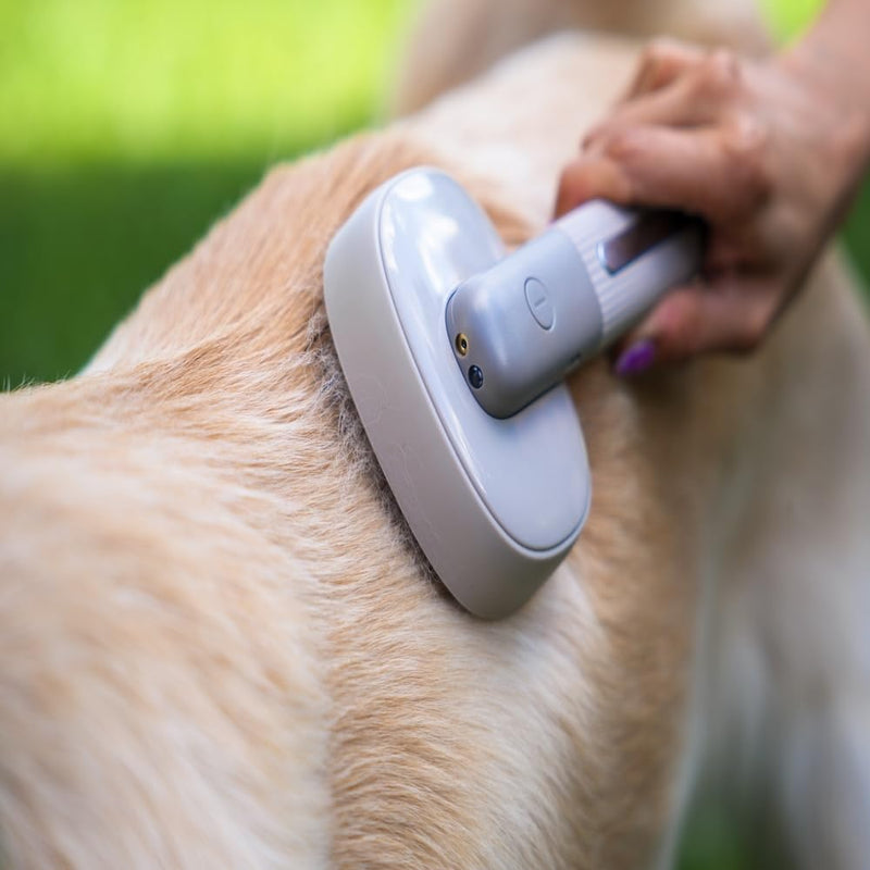 Bark&Bliss Self Cleaning Slicker Brush – Skin-Friendly Deshedding Grooming Tool for Dogs & Cats, Suitable for Shedding & Long-Haired Pets, Puppy Brush, Pet Grooming Brush, Cat Brush for Shedding - PawsPlanet Australia