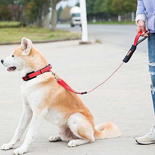 Creation Core 1 Set Adjustable Dog Seat Belt & Dog Collar with Elastic Handle Soft Padded Premium 2 in 1 Reflective Pet Leash - PawsPlanet Australia