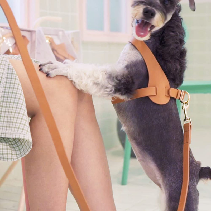 Fashionable Microfiber Leather Dog Harness -[X903] Escape Proof Dog Harness Easy On Easy Off Soft Waterproof with Luxury Durable Golden Hardware Puppy Harness for Litter Small,Middle Dogs Medium-Chest:15~19.7Inch Harness:PeachPink - PawsPlanet Australia