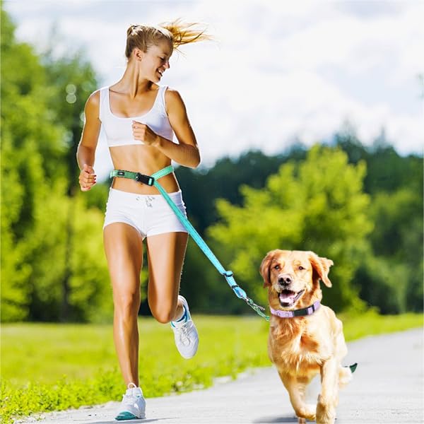 Hands-Free Heavy Duty Bungee Dog Leash, No Pull Running Waist Leash for Walking, Training with Car Seatbelt, Adjustable 4-6FT, Reflective, Dual Handles, Metal Safe Lock (OCEANCHILL) OCEANCHILL - PawsPlanet Australia