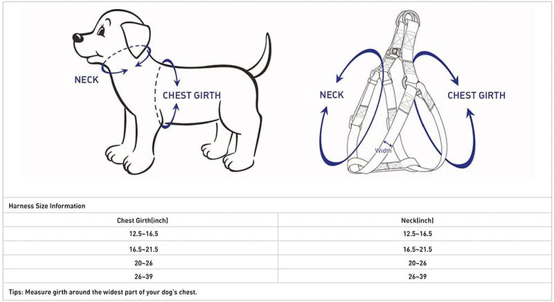 Blueberry Pet Essentials Step-in Dog Harness, Small Size | Adjustable Marina Blue Vest | Classic Solid Nylon for Boy & Girl Dogs, Chest Girth 16.5" - 21.5" - PawsPlanet Australia