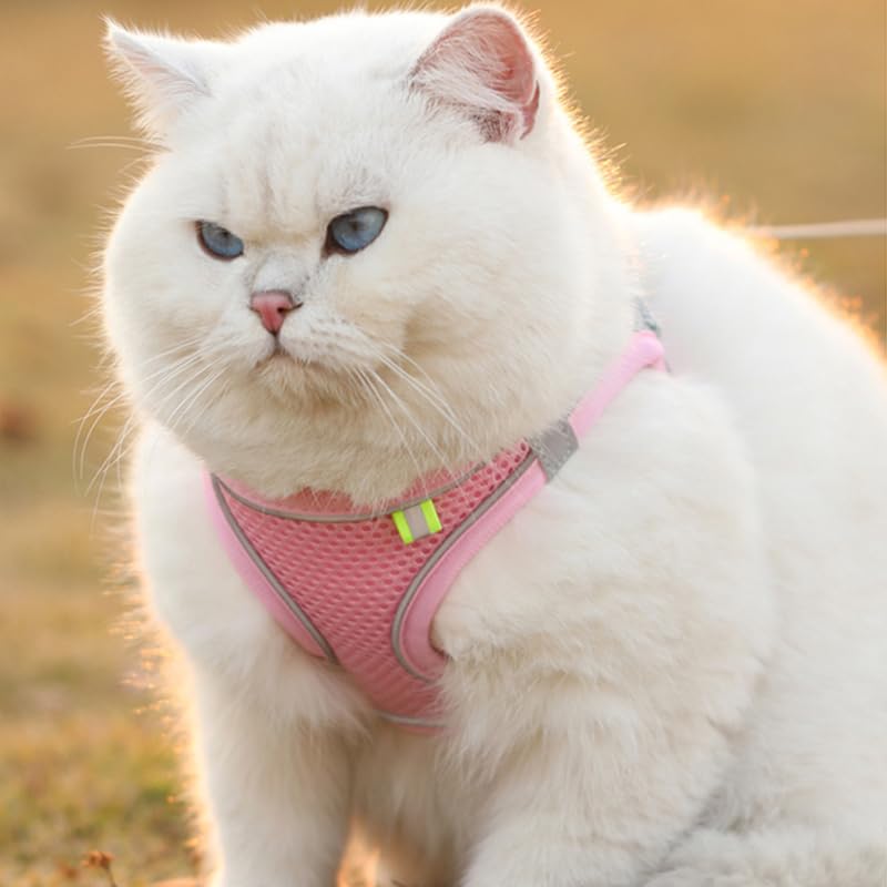 Cat Harness and Leash Set Soft Adjustable Escape Proof Cat Leash Breathable Comfortable Vest Easy to Wear Kitten/Small Dogs Harness for Outdoor Walking M Pink